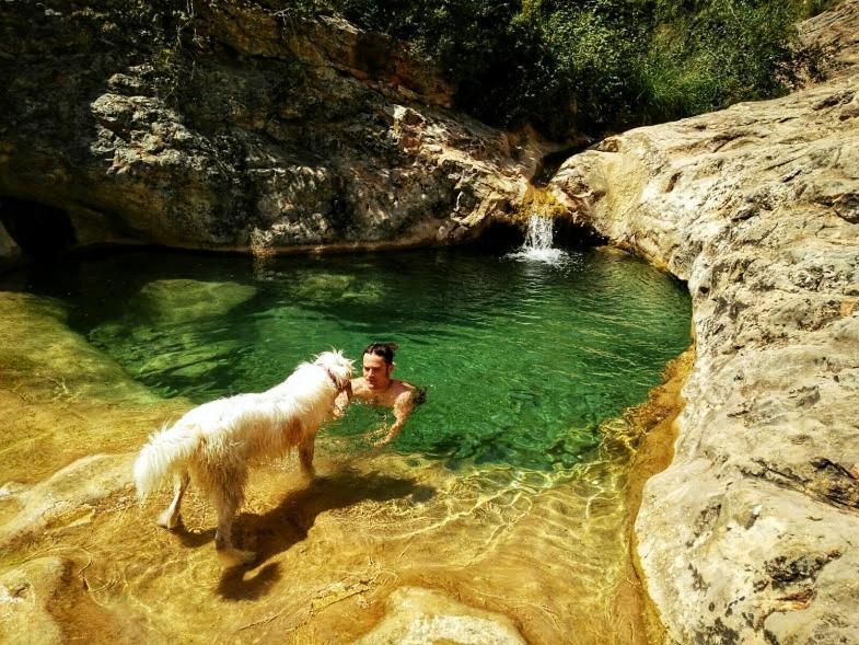 Cal Perdigues De Boada Pet Friendly Vendégház Kültér fotó